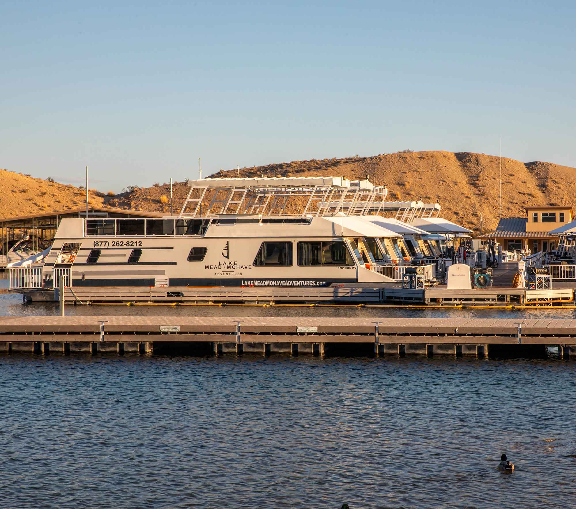 Marina boats docked
